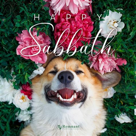 Happy Sabbath Wishes Greetings And Quotes Artofit