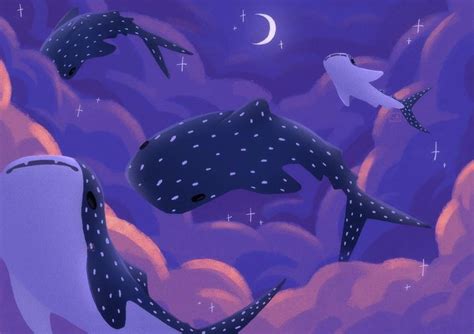 Pin By Abbey Biggs On Computer Backgrounds Shark Art Whale Shark