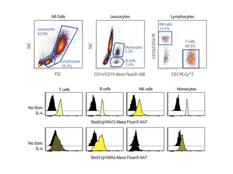 Intracellular Flow Cytometry Intracellular Staining