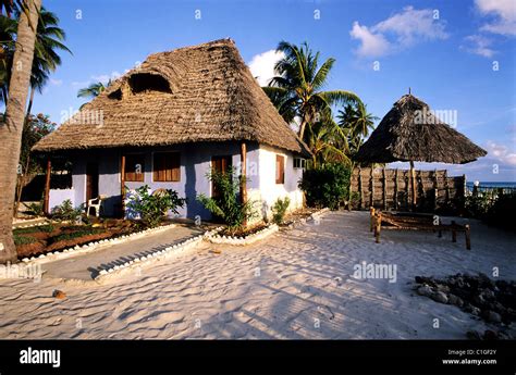 Tanzania Zanzibar Archipelago Unguja Island Zanzibar Jambiani