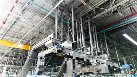 Descubre La Planta De Bic Y El Secreto De Por Qué ‘no Sabe Fallar