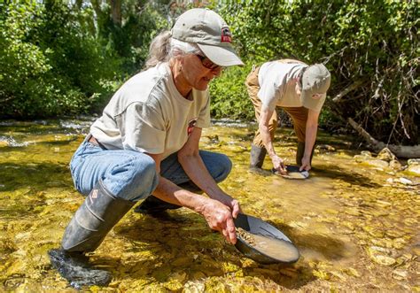 Gold Prospectors Still Panning In Wyoming