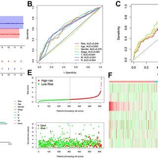 Stemness Related Lncrnas Signature Based On Tcga Datasets A