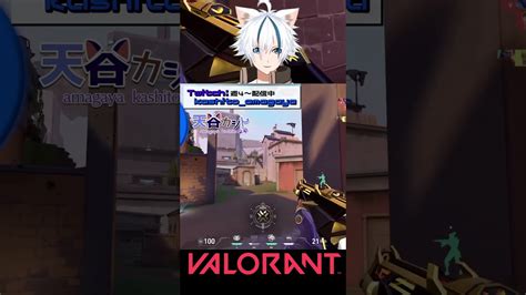 オーメンに仕返しだ！！ 新人vtuber 男性vtuber Valorant Valorantclips Vtuber チームデス