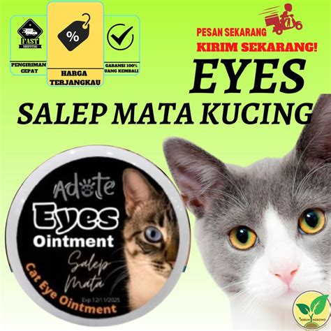 Jual Salep Mata Belekan Berair Infeksi Mata Adote Kucing Anjing Eyes