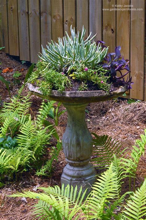 Don T Throw Out That Old Bird Bath Make It A Planter Bird Bath