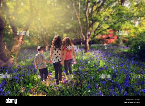 Children walking hand in hand through bluebell woods Stock Photo - Alamy