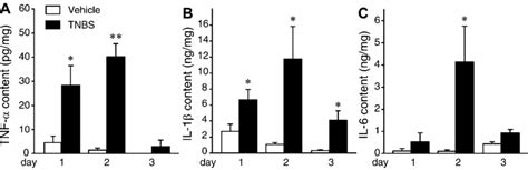 Tnbs Induced Inflammation Increases The Expression Of Proinflammatory