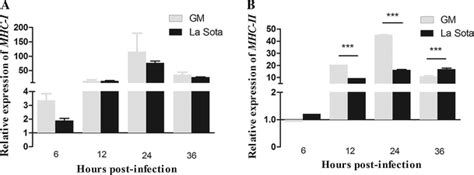 Expression Of Mrna Of Mhc I A And Mhc Ii B In Mature Chicken Bm Dcs