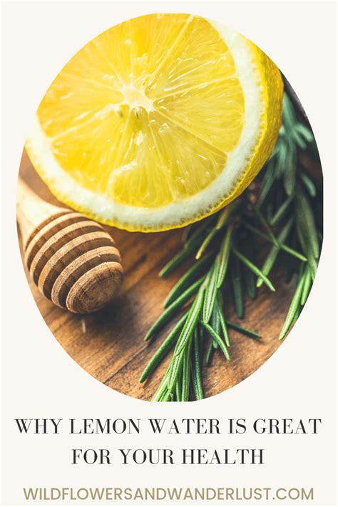 Reasons You Need To Drink Lemon Water Everyday Wildflowers And