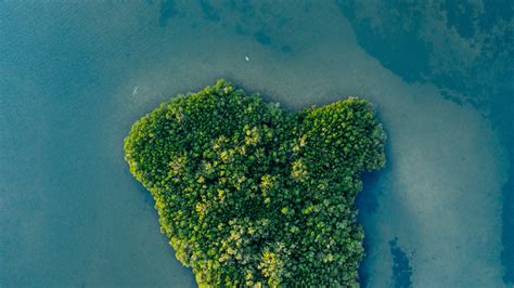 Green Trees On Blue Water · Free Stock Photo