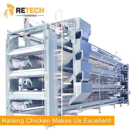 Automatic Pp Belt End Poultry Manure Removing System For Chicken House