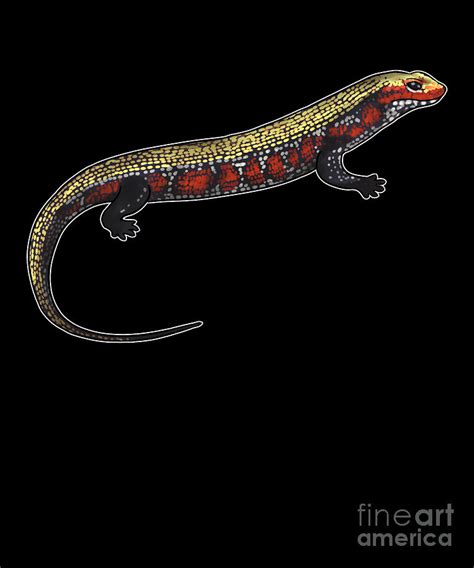 Fire Skink Pet Lizard Reptile Herpetology T Digital Art By Lukas