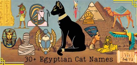 Egyptian Cat Names – 30 Name Ideas for Your Cat - PetsTime