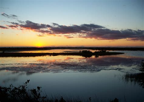 Merritt Island & Canaveral National Seashore | Drive The Nation