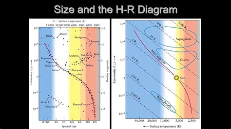 PHYS 1403 Stellar Luminosity Classes YouTube