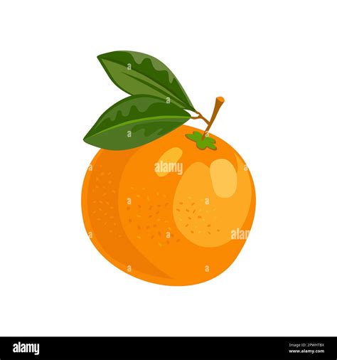 Tangerine With Vitamin C Vector Illustration Stock Vector Image And Art