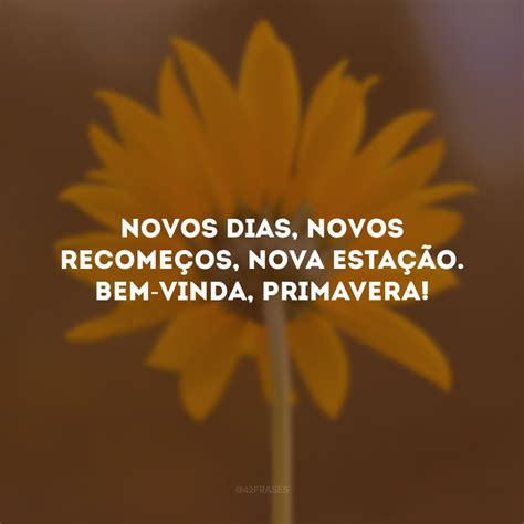 40 Frases De Bem Vinda Primavera Para Se Renovar Como As Flores