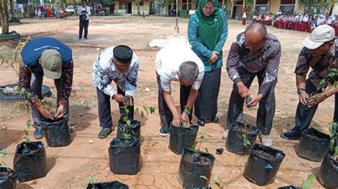 Gerakan Budidaya Sayuran Di Sekolah Terus Digelorakan Pemkab Aceh