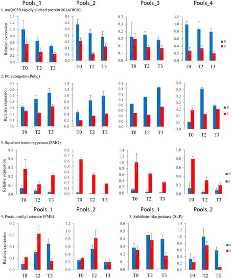 Frontiers Selection And Validation Of Potato Candidate Genes For