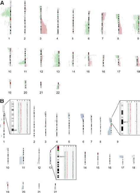 Chromosomal Alterations In Mcl Cases Determined By K Snp Arrays