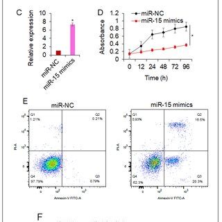 CDK6 Acts As The Molecular Target Of MiR 15 In Osteosarcoma A