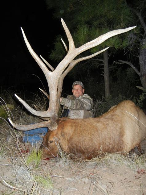 New Mexico Private Land Elk Hunts Top Notch Outfitters