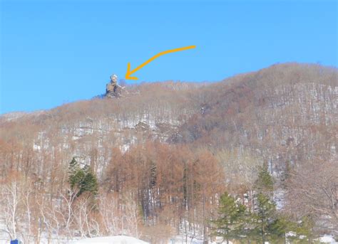 春を探しに烏帽子岩へ～福寿草 ブログ お散歩大好きぽこみ 北海道洞爺湖周辺の情報共有サイト「むしゃなび」