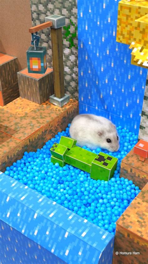 Homura Ham S Hamsters In The Minecraft Dungeons Soggy Swamp Video