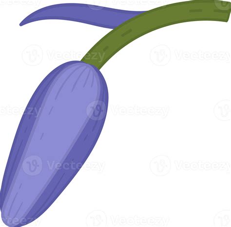 Bluebell Flower Hand Drawn Illustration 9841746 Png