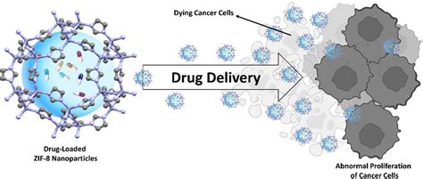 A New Era In Cancer Treatment Harnessing Zif 8 Nanoparticles For Pd 1 Inhibitor Delivery