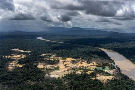 Lo Que Debe Saber Sobre La Minería Ilegal En La Amazonia