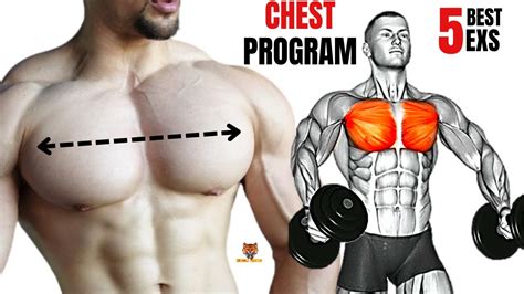 The Perfect Chest Workout Program At Gym 5 Meilleurs Exs Musculation De La Poitrine Youtube