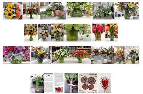 Stevens And Son Wholesale Florist Updated December 2024 14022 W 54th