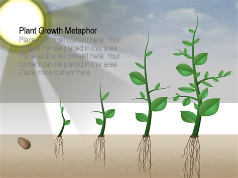 Plant growth graphic