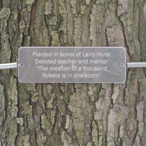 Tree Huggers® Tree Plaques Personalized Up To 5 Linessympathy T Memorial And Remembrance