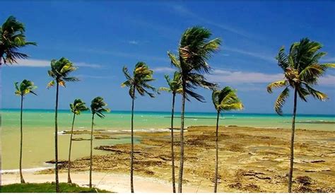 Prado BA tem praias de águas cristalinas e quase desertas