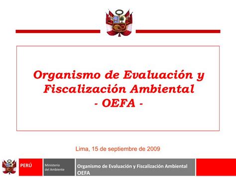 Pdf Organismo De Evaluaci N Y Fiscalizaci N Ambiental Pdf Filedel