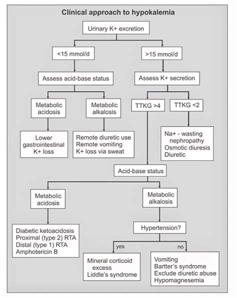 Hypokalemia Approach