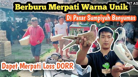 Berburu Merpati Warna Unik Di Pasar Sumpiyuh Dapet Los Dor Lagi Youtube