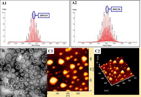 Characterization Of Targeting Molecular Materials And Liposomes Notes