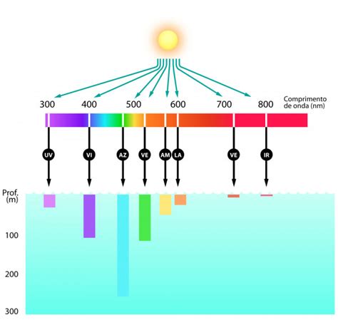 Profundidade De Penetra O Da Radia O Eletromagn Tica Na Gua Canal
