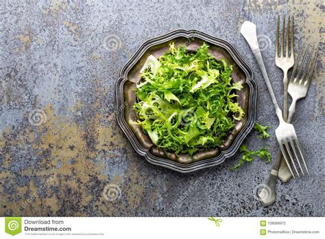 Frize Lettuce Salad Fresh Frisee Healthy Vegetarian Food Stock Photo