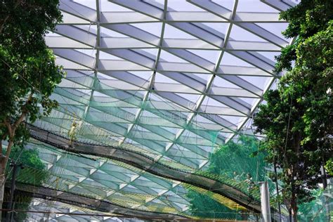 Manulife Sky Nets at Jewelâ€™s Canopy Park Editorial Stock Photo - Image of mall, singapore ...