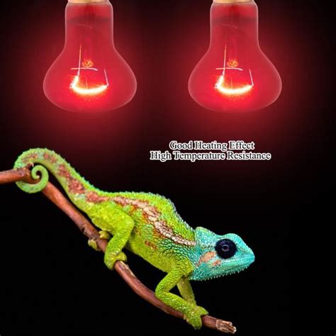 Lampe Chauffante E Pour Animaux Lampe Chauffante En C Ramique Noire