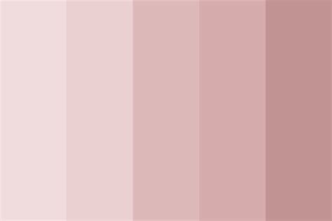 Salmon Sushi Color Palette