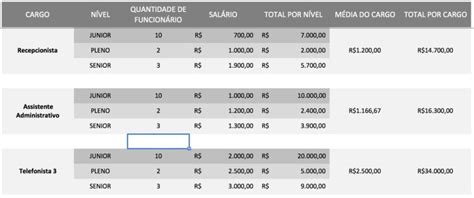 Plano De Cargos E Sal Rios O Que E Como Fazer Blog Luz