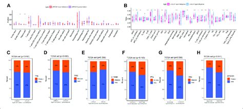 Discrepancy Of Low And High LRRC41 Methylation Subgroups In Terms Of