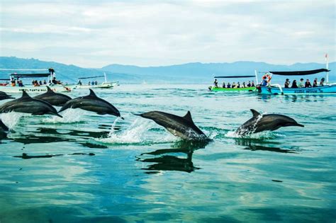 Lovina Beach Pantai Lovina A Rush Boat Trip For Watching The