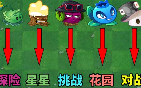 Pvz2：盘点五大最易获得的高性价比植物！哔哩哔哩bilibili植物大战僵尸2